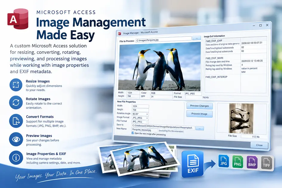 Microsoft Access Image Manipulation Tools